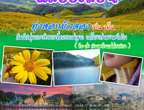 MHS PKG3 แม่ฮ่องสอน ทุ่งดอกบัวตอง บ้านรักไทย 3 วัน 2 คืน